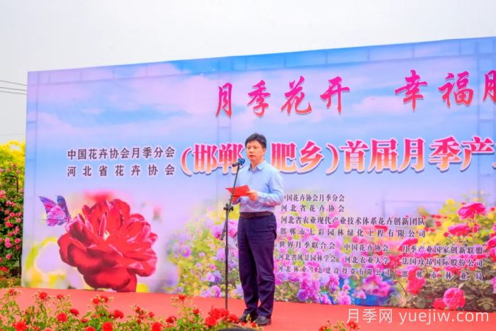 邯鄲月季：肥鄉區首屆月季產(chǎn)業(yè)高質(zhì)量發(fā)展大會(huì )舉辦(圖1)