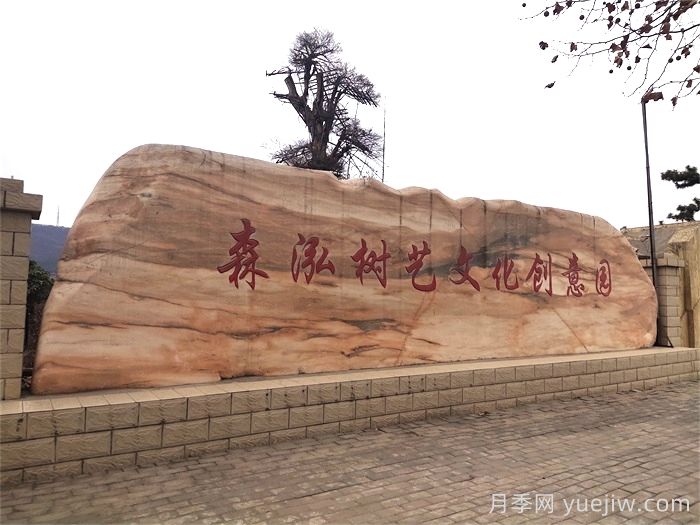 大型景觀(guān)石常見(jiàn)的幾種類(lèi)型(圖1)