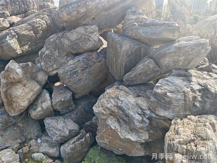 園林常用的十大景觀(guān)石種類(lèi)(圖2)