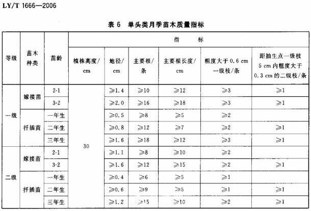 月季苗的質(zhì)量行業(yè)標準(圖2)