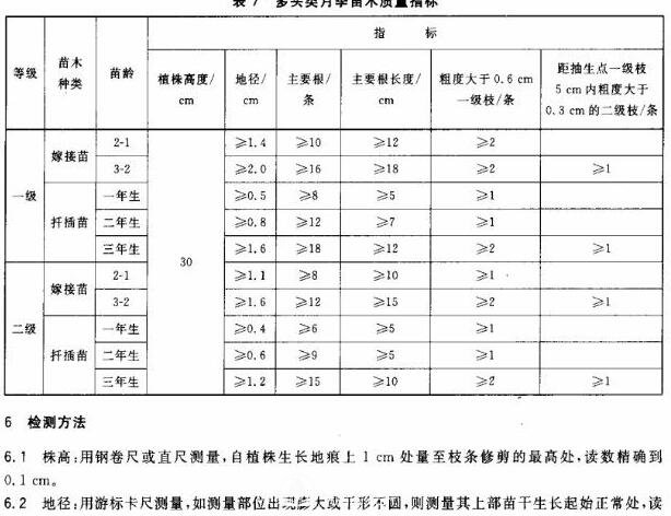 月季苗的質(zhì)量行業(yè)標準(圖3)