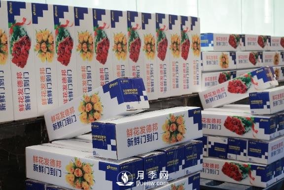 情人節春節相遇，德邦快遞＂春節不休＂滿(mǎn)足鮮花運輸旺盛需求(圖1)