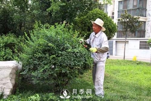 苗木春季養護的幾點(diǎn)建議(圖1)