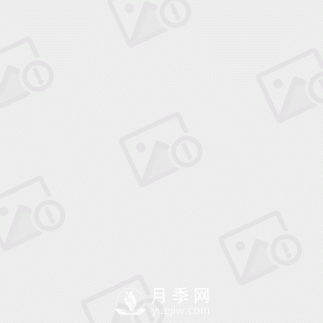 大葉女貞和小葉女貞到底有哪些區別呢？就葉子不同？(圖1)