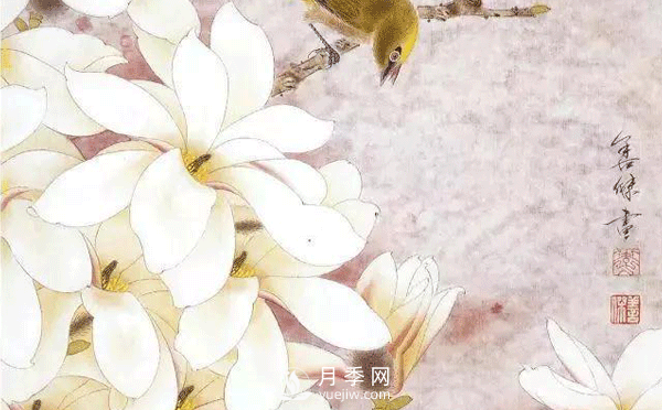 怎樣畫(huà)白玉蘭工筆畫(huà)，白玉蘭工筆畫(huà)詳細步驟(圖1)