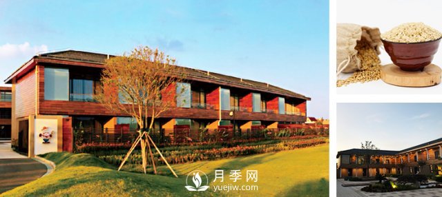 上海東禾九谷開(kāi)心農場(chǎng)(圖1)