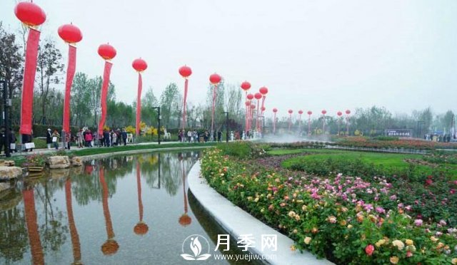 露天陽(yáng)臺以及樓頂種植月季配土的標準(圖1)