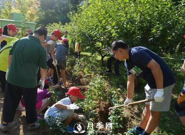 北京石景山 月季花開(kāi)惹人醉(圖6)