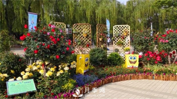 鄭州市2015年第二十一屆月季花展景觀(guān)(圖2)