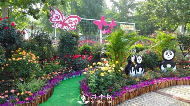 鄭州市2015年第二十一屆月季花展景觀(guān)(圖4)