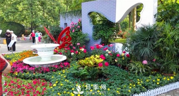 鄭州市2015年第二十一屆月季花展景觀(guān)(圖5)