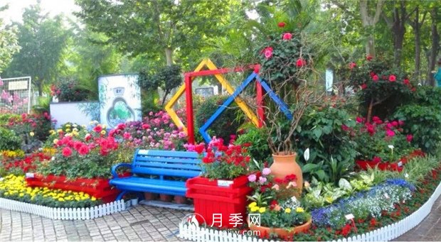 鄭州市2015年第二十一屆月季花展景觀(guān)(圖6)