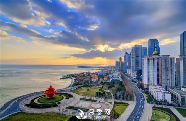 山東萊州，是國內好吃的螃蟹產(chǎn)地之一，月季是它的市花(圖1)