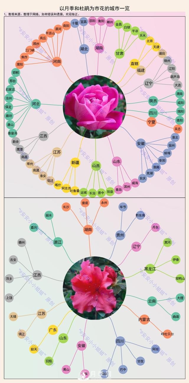 市樹(shù)市花地圖：月季、杜鵑、香樟、國槐(圖1)