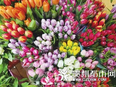 貴陽(yáng)近期鮮花漲價(jià) 玫瑰花賣(mài)到70元一把(圖1)