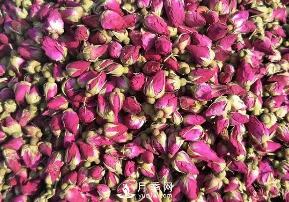 贈人玫瑰，手有余香，怎么看待平陰玫瑰(圖1)