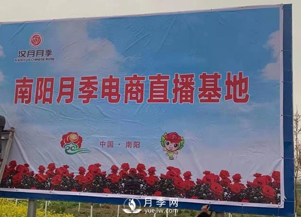 南陽(yáng)月季電商基地3月18號開(kāi)播儀式啟動(dòng)(圖2)