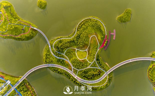 廣東肇慶硯陽(yáng)湖景區月季島景觀(guān)(圖3)