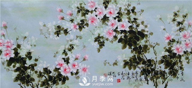 “月季花濕法畫(huà)法**人”王躍進(jìn)廈門(mén)辦專(zhuān)題月季展(圖1)