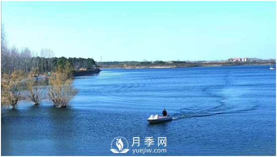 南陽(yáng)驚蟄時(shí)節，花紅柳綠又一春(圖4)