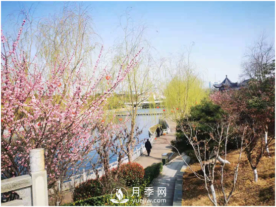 南陽(yáng)驚蟄時(shí)節，花紅柳綠又一春(圖3)
