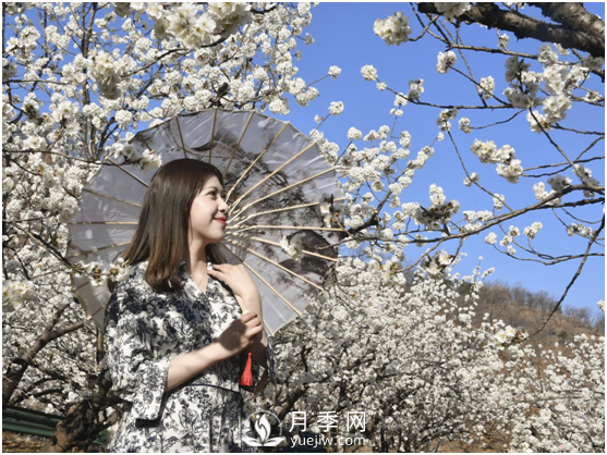 南陽(yáng)驚蟄時(shí)節，花紅柳綠又一春(圖1)