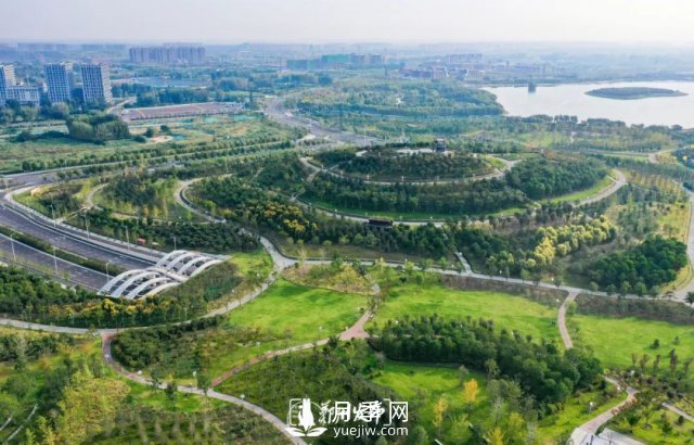 3.13萬(wàn)畝！2021年鄭州綠化目之所及皆是綠(圖3)