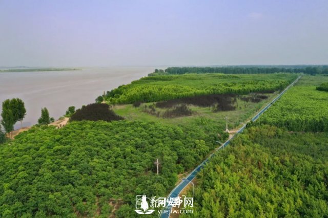 3.13萬(wàn)畝！2021年鄭州綠化目之所及皆是綠(圖4)