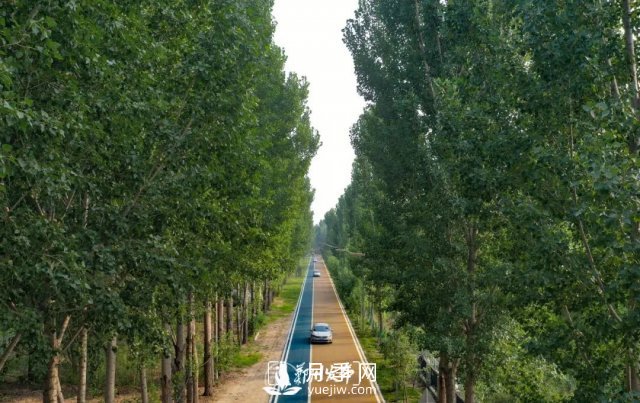 3.13萬(wàn)畝！2021年鄭州綠化目之所及皆是綠(圖2)