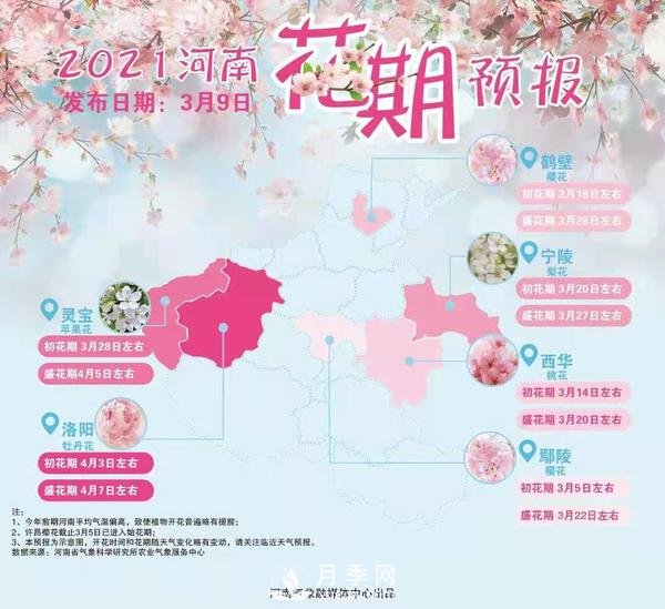 河南省氣象局發(fā)布花期地圖 洛陽(yáng)牡丹花4月3日進(jìn)入初花期(圖1)