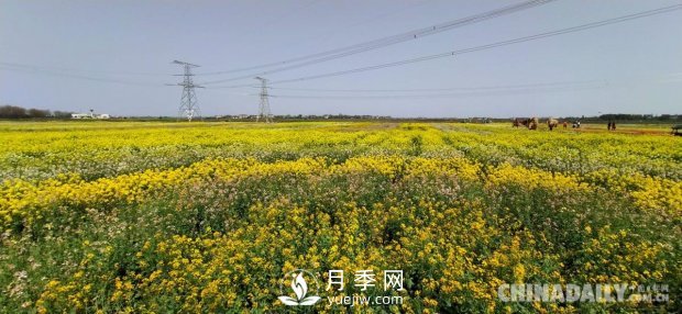 江西省南昌縣涇口鄉舉辦首屆鄉村振興發(fā)展大會(huì )(圖1)