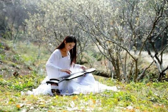 四川南充月季花海迎來(lái)1000㎡粉色沙灘，4月3日浪漫迎客(圖9)