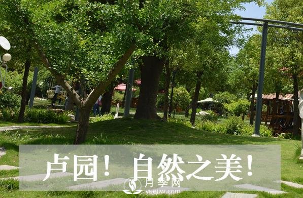 南陽(yáng)盧園生態(tài)農業(yè)旅游景區(圖1)