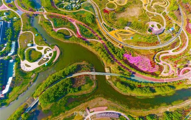 聊城九州洼月季公園五一出游樂(lè )園(圖1)