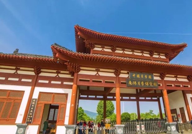 中國月季園千畝月季花開(kāi)，南陽(yáng)月季人間仙境打卡圣地(圖2)