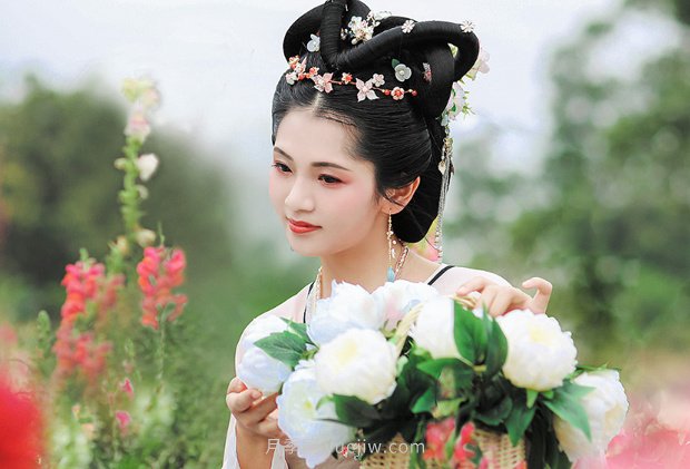 中國月季園千畝月季花開(kāi)，南陽(yáng)月季人間仙境打卡圣地(圖5)