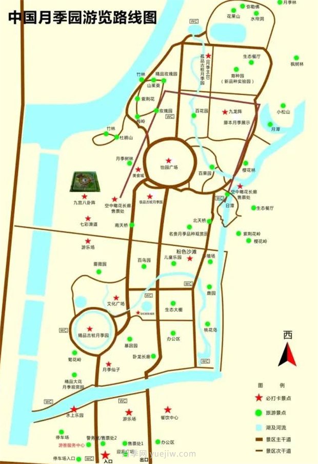 中國月季園千畝月季花開(kāi)，南陽(yáng)月季人間仙境打卡圣地(圖3)