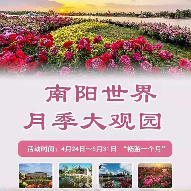 第十二屆南陽(yáng)月季花會(huì )4月29日開(kāi)幕，活動(dòng)豐富多彩(圖1)