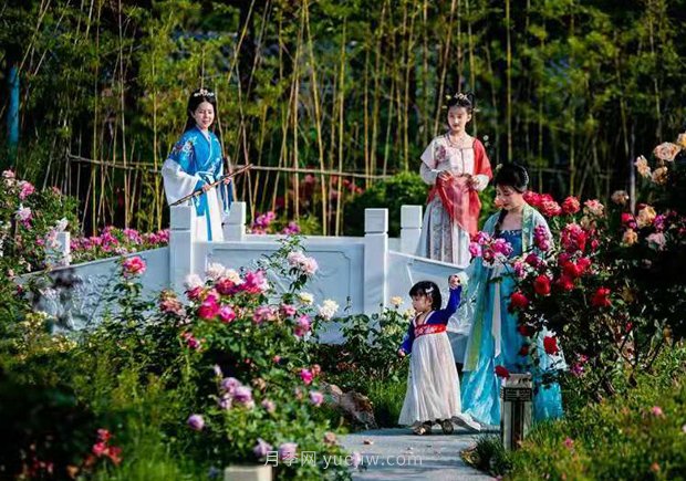 第十二屆南陽(yáng)月季花會(huì )4月29日開(kāi)幕，活動(dòng)豐富多彩(圖3)