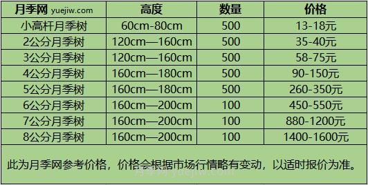 2公分月季樹(shù)多少錢(qián)一棵？ 2公分樹(shù)狀月季價(jià)格(圖3)
