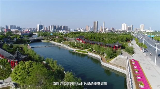 河南南陽(yáng)：月季之鄉新發(fā)展 月季花開(kāi)產(chǎn)業(yè)紅(圖4)