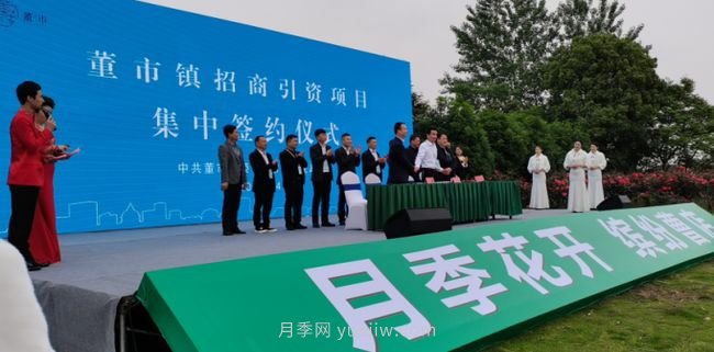 宜昌枝江：曹店月季花節開(kāi)幕，招客商促鄉村振興(圖1)