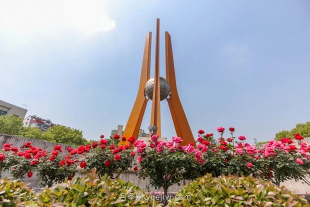 四月盛放的月季時(shí)間，湖北宜昌給你的專(zhuān)屬浪漫花園(圖3)