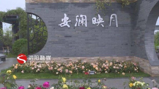 第十一屆中國月季展覽會(huì )：走進(jìn)淮安展園(圖2)