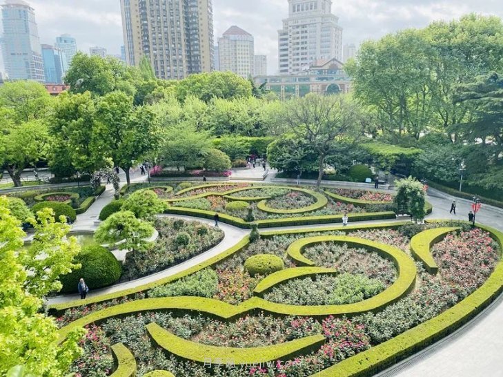 上海復興公園月季園，月季花開(kāi)獻給市民的視覺(jué)盛宴(圖2)
