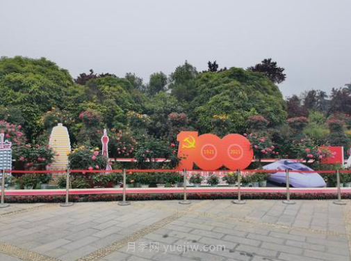 滿(mǎn)城飄香賞月季，月季花開(kāi)驚艷了四月的鄭州(圖5)