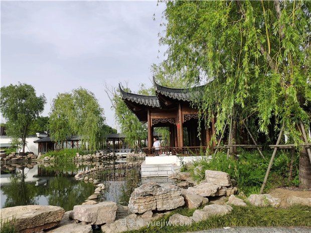 南陽(yáng)世界月季大觀(guān)園規模真大，快來(lái)過(guò)把月季花癮(圖3)