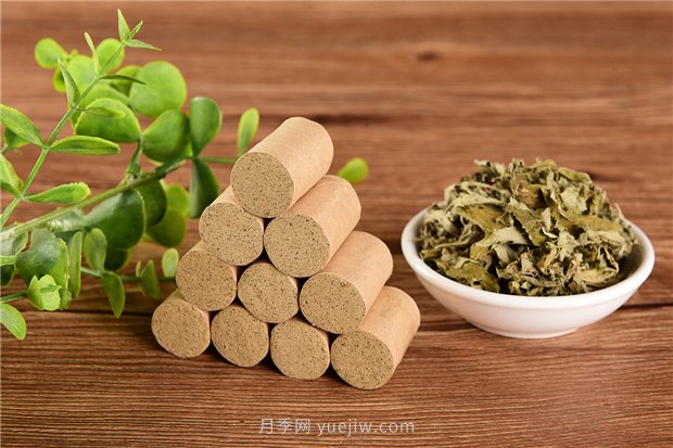 南陽(yáng)宛艾產(chǎn)業(yè)協(xié)會(huì )舉辦艾草研討會(huì )，把宛艾做成中國名片(圖1)