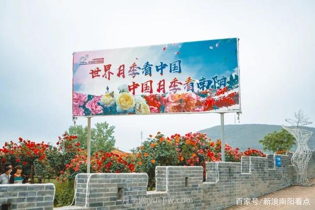 南陽(yáng)月季博覽園本周憑本人南陽(yáng)身份證可免費游園(圖1)