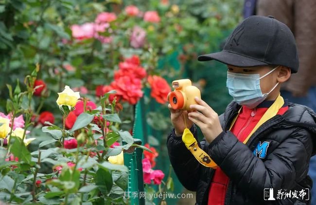 月季花開(kāi)滿(mǎn)城，***美鄭州五月天（圖冊）(圖9)